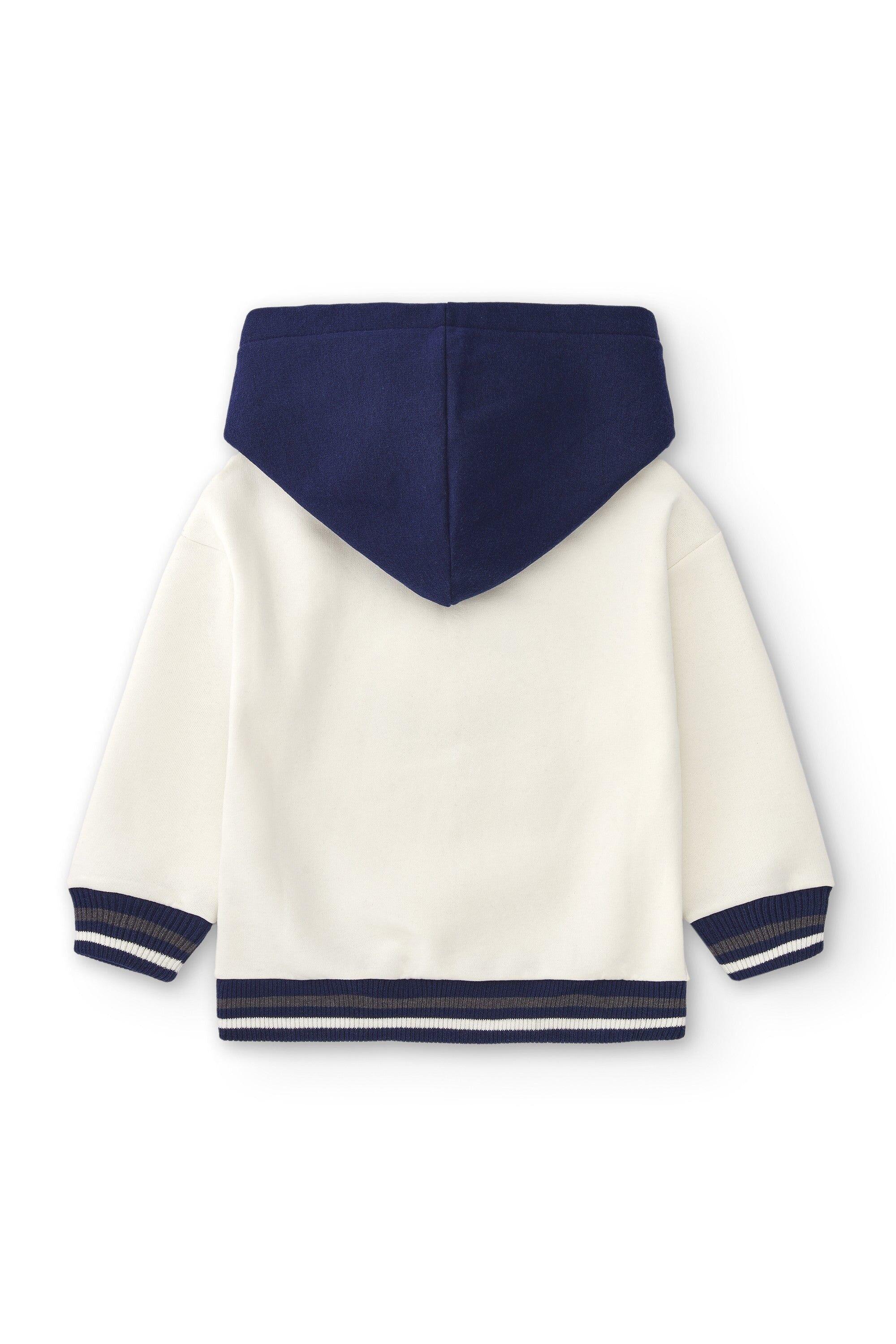 Hoddie